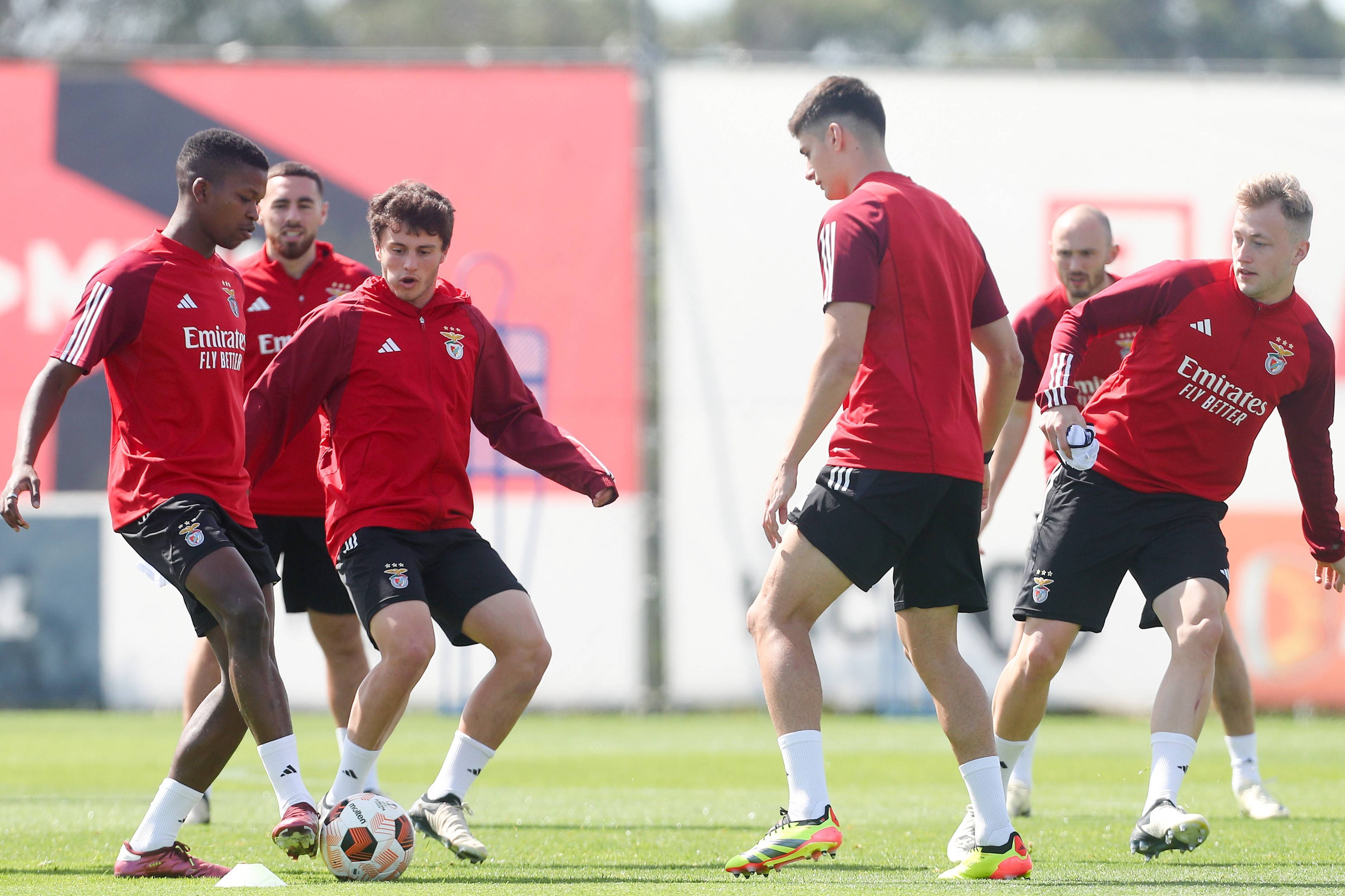 赛迦免费观看中文版 赛迦免费观看中文版