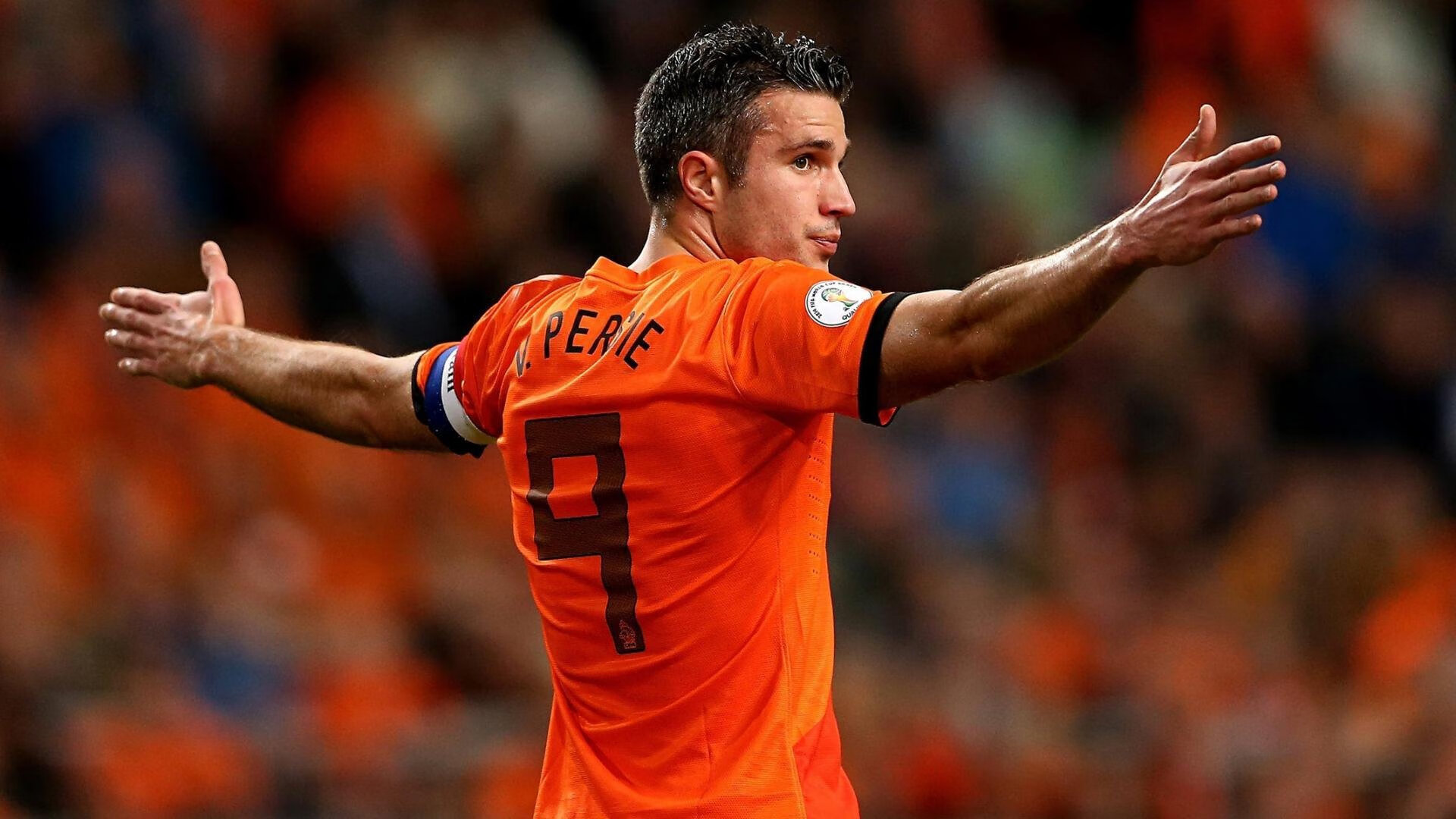 赛迦免费观看中文版